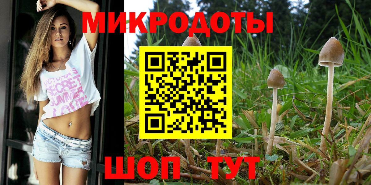 Купить наркотик  Экстази  ГАШ  Котовск  Меф МЯУ МЯУ кристаллы  Вход с VPN 