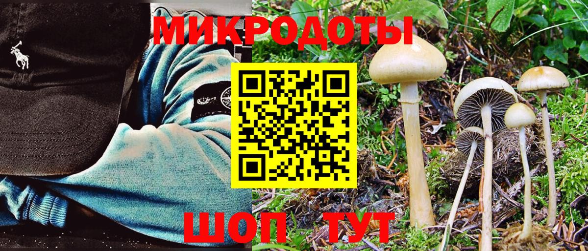 как найти наркотики  Вход с VPN  Котовск  Псилоцибиновые грибы Psilocybine cubensis 